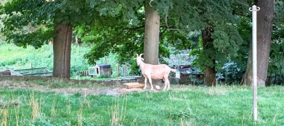 Edificio de 8 habitaciónes en Bautzen, Germany No. 286257 39