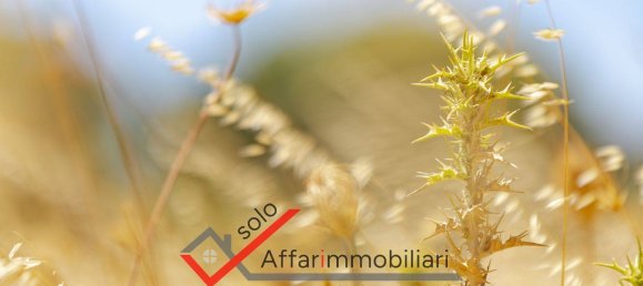 Terrain à Telti, Italy 30000m² No. 258323 11