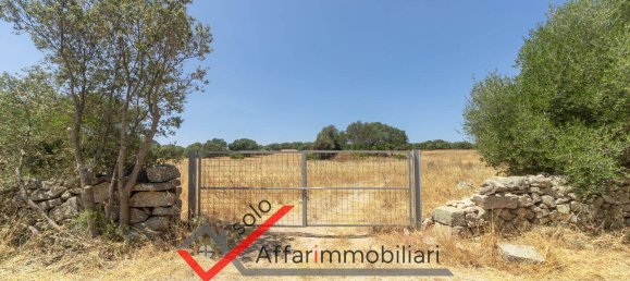 Terrain à Telti, Italy 30000m² No. 258323 5