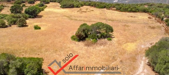 Terrain à Telti, Italy 30000m² No. 258323 4