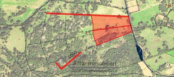 Terrain à Telti, Italy 30000m² No. 258323 13