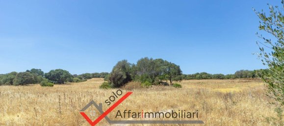 Terrain à Telti, Italy 30000m² No. 258323 6