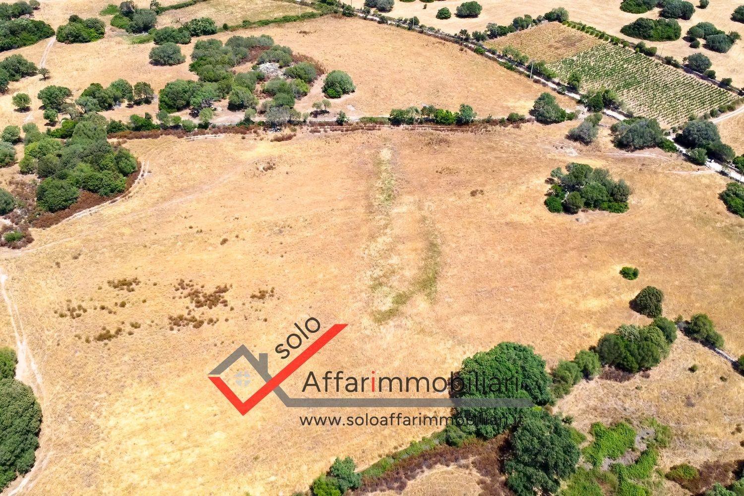 Terrain à Telti, Italy 30000m² No. 258323