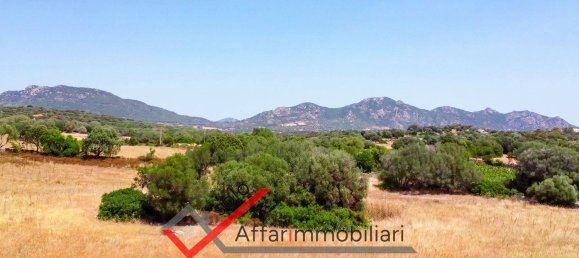 Terrain à Telti, Italy 30000m² No. 258323 9