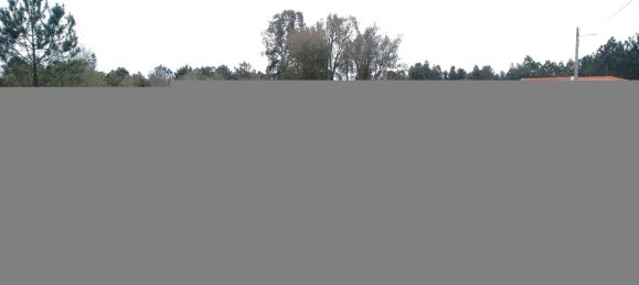 Grundstück in Alcobaca, Portugal 1280m², Nr. 77427 6