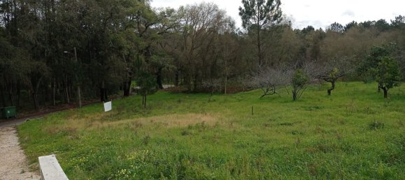 Grundstück in Alcobaca, Portugal 1280m², Nr. 77427 7