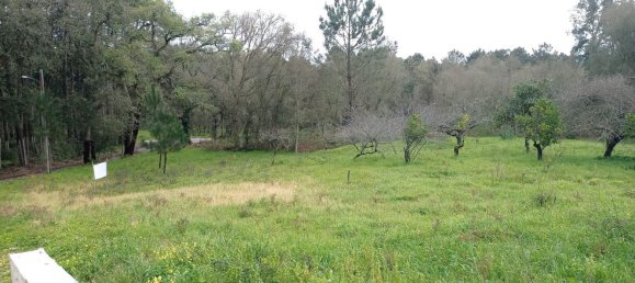 Grundstück in Alcobaca, Portugal 1280m², Nr. 77427 4