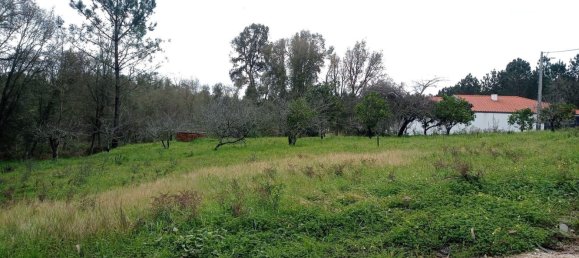 Grundstück in Alcobaca, Portugal 1280m², Nr. 77427 3