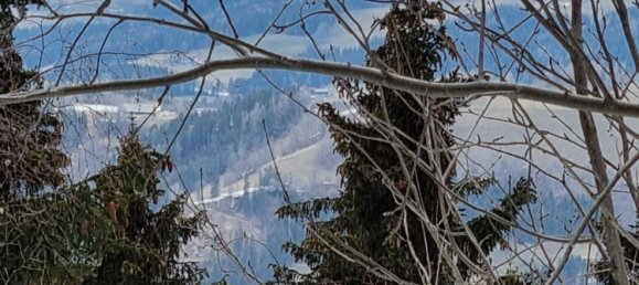  قطعة أرض في Wolfsberg, Austria 2758متر مربع رقم 167166 8