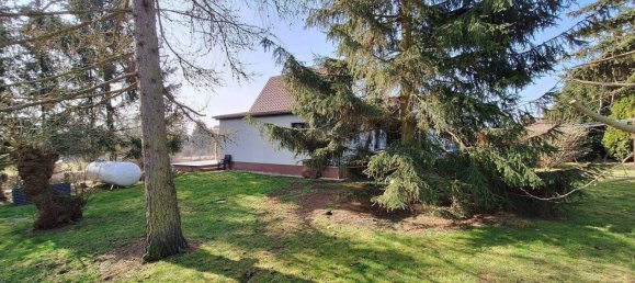 5-salle Maison à Unstrut-Hainich-Kreis, Germany No. 229487 5