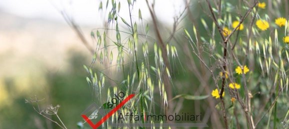 Grundstück in Sant'Antonio di Gallura, Italy 170000m², Nr. 293277 5