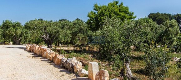 Casa de 13 habitaciónes en Ostuni, Italy No. 17279 3