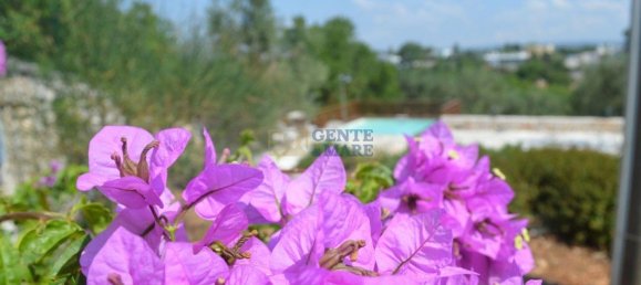 Casa de 13 habitaciónes en Ostuni, Italy No. 17279 37