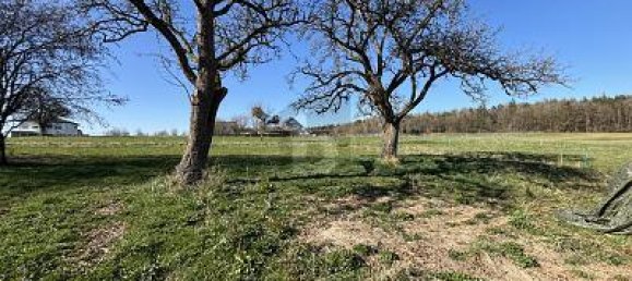 Grundstück in Bernkastel-Wittlich, Germany 656m², Nr. 337841 4