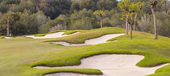 3 bedrooms Villa in San Miguel de Salinas, Spain No. 6439 4