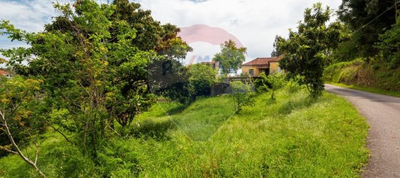3 Schlafzimmer Haus in Mortagua, Portugal, Nr. 177437 4