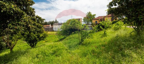 3 Schlafzimmer Haus in Mortagua, Portugal, Nr. 177437 5