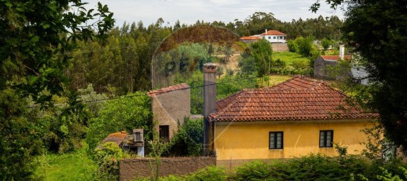 3 Schlafzimmer Haus in Mortagua, Portugal, Nr. 177437 6