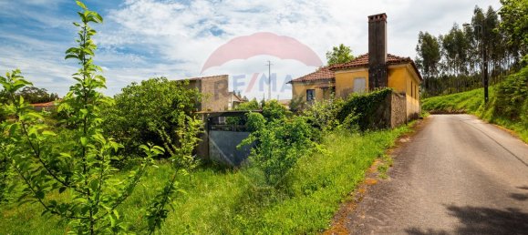 3 Schlafzimmer Haus in Mortagua, Portugal, Nr. 177437 3