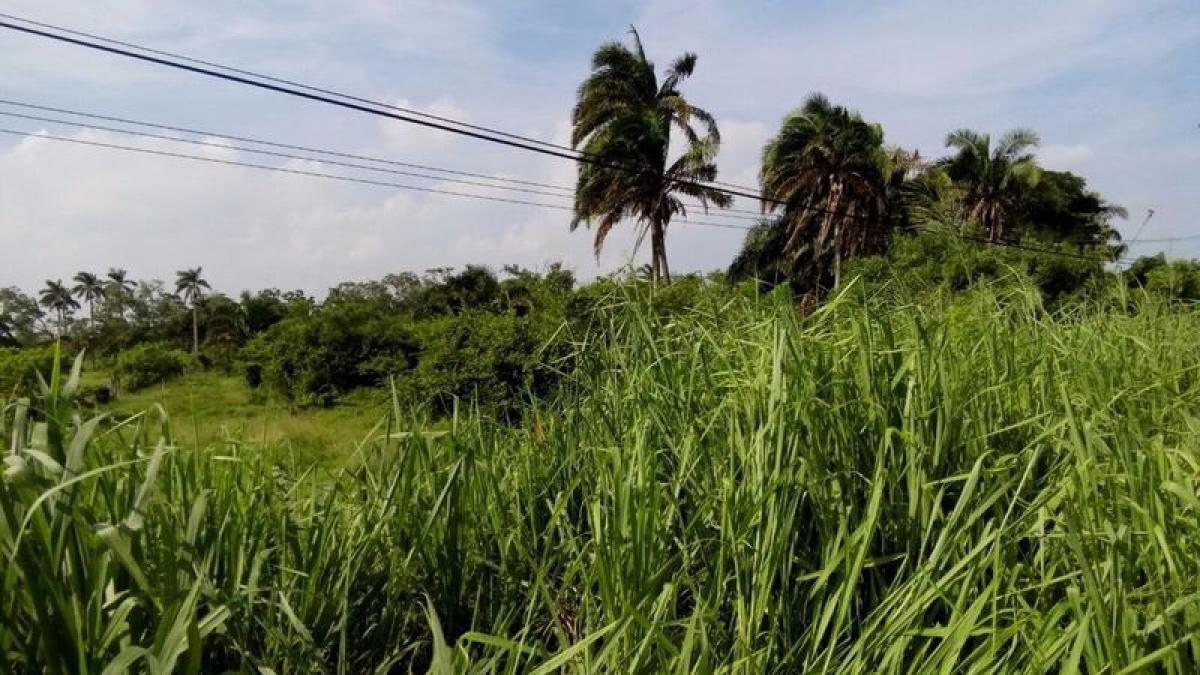 Grundstück in Veracruz, Mexico, Nr. 205095