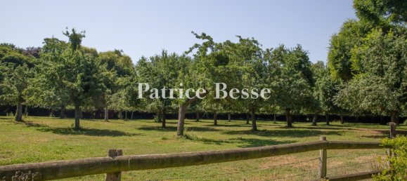 Castillos de 11 dormitorios en Deauville, France No. 297747 13