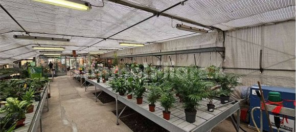 5 غرف نوم فيلا في Centro Valle Intelvi, Italy رقم 174667 50