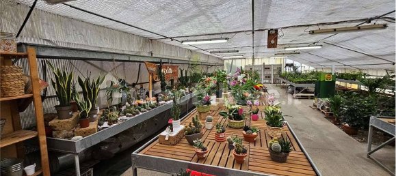 5 غرف نوم فيلا في Centro Valle Intelvi, Italy رقم 174667 49