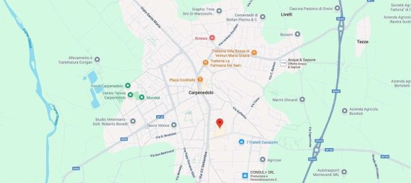  عقار تجاري في Carpenedolo, Italy 386متر مربع رقم 311890 15