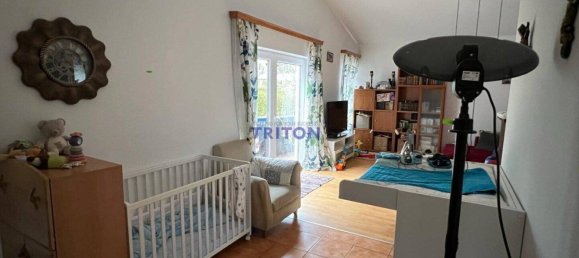 3غرفة منزل في Neufeld an der Leitha, Austria رقم 179231 20