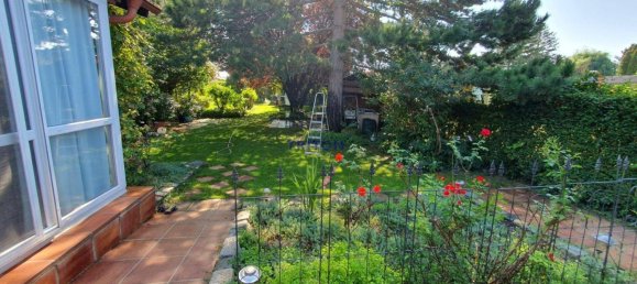 3غرفة منزل في Neufeld an der Leitha, Austria رقم 179231 13