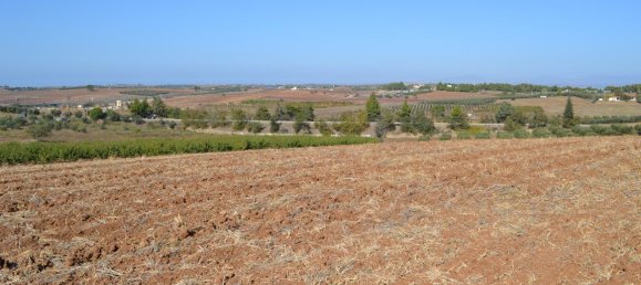 Отель, гостиница 20000м² в Халкидики, Греция № 6013 2