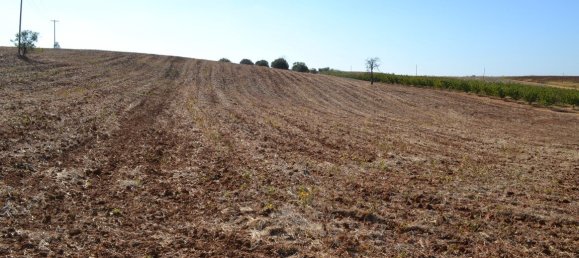 Отель, гостиница 20000м² в Халкидики, Греция № 6013 4