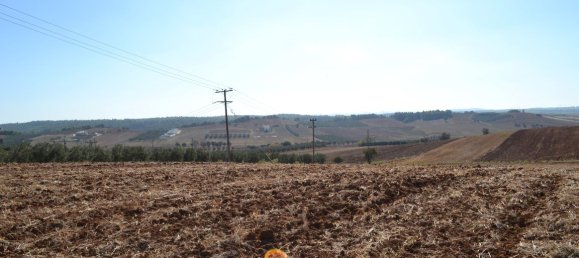 Отель, гостиница 20000м² в Халкидики, Греция № 6013 6