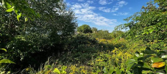 Terrain à Halle, Germany No. 152480 4