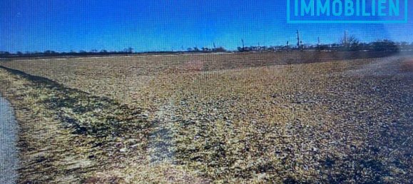 Terreno em Fels am Wagram, Austria N.º 96616 2