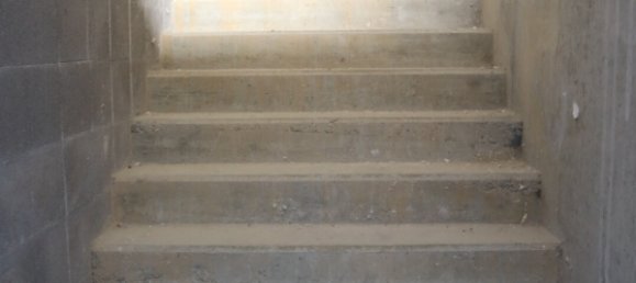 Коммерческая недвижимость 270м² в Вальдигофан, Франция № 88281 6