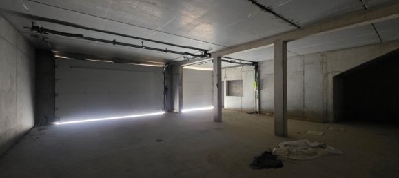 Коммерческая недвижимость 270м² в Вальдигофан, Франция № 88281 5