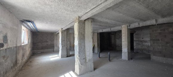 Коммерческая недвижимость 270м² в Вальдигофан, Франция № 88281 3