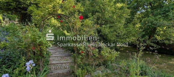 Дом с 4 спальнями в Бергштрасе, Германия № 276350 45