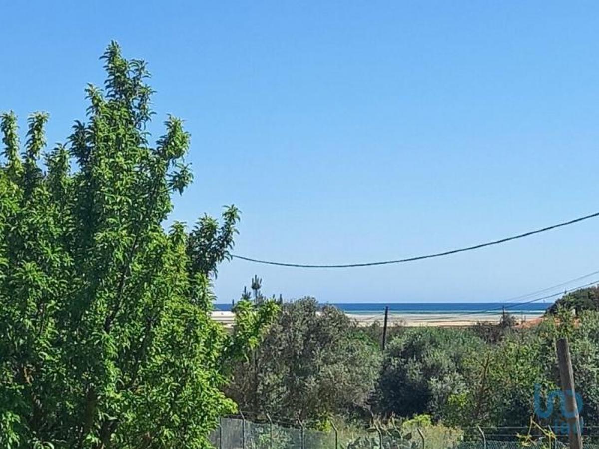 4 Schlafzimmer Haus in Tavira, Portugal, Nr. 4032