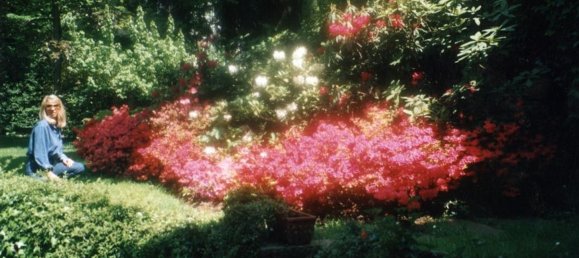 Villa de 5 habitaciónes en Gorle, Italy No. 82104 4