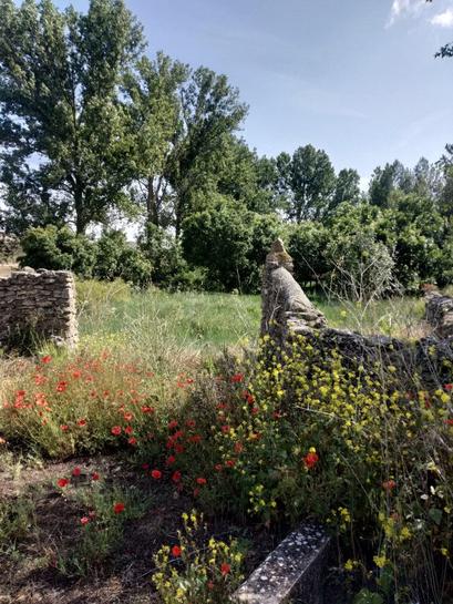 Terreno en Valladolid, Spain 6000 m² No. 162434