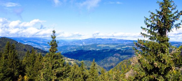 Land in Wolfsberg, Austria No. 128816 3