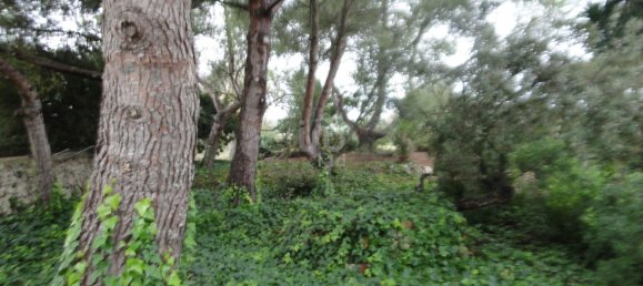 8 غرف نوم منزل في Mallorca, Spain رقم 173315 28