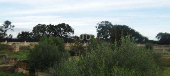 8 غرف نوم منزل في Mallorca, Spain رقم 173315 12