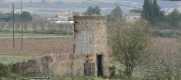 8 غرف نوم منزل في Mallorca, Spain رقم 173315 21