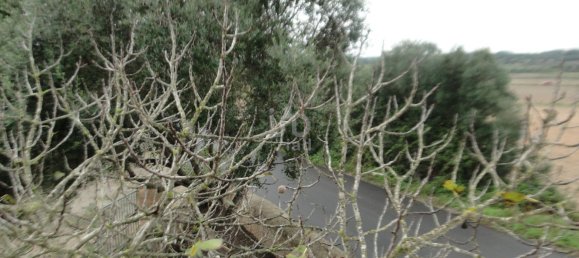 8 غرف نوم منزل في Mallorca, Spain رقم 173315 56