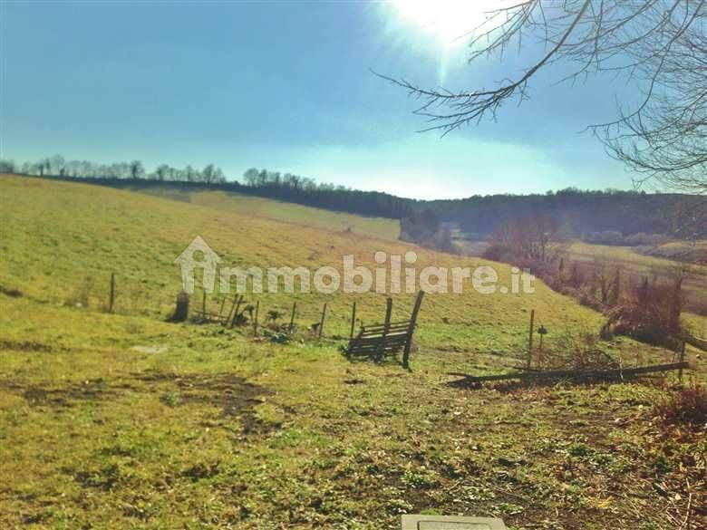 5 rooms Commercial property in Acquapendente, Italy No. 110551