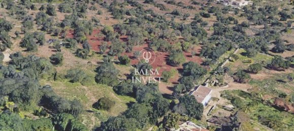 1350m² Land in Faro, Portugal No. 111136 7
