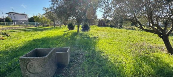 233m² Warehouse in Udine, Italy No. 341239 5